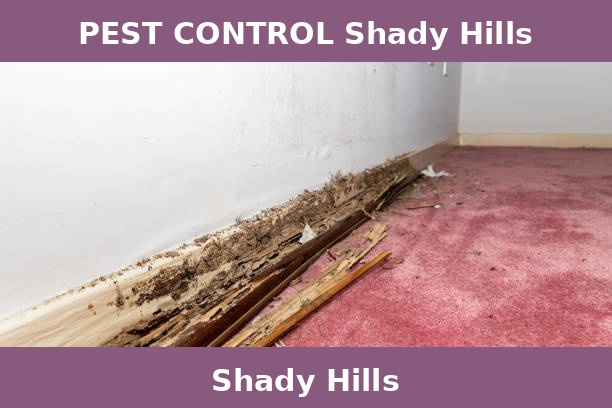 PEST CONTROL Shady Hills